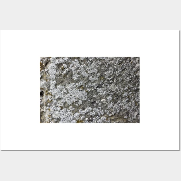 lichen texture Wall Art by pinkal